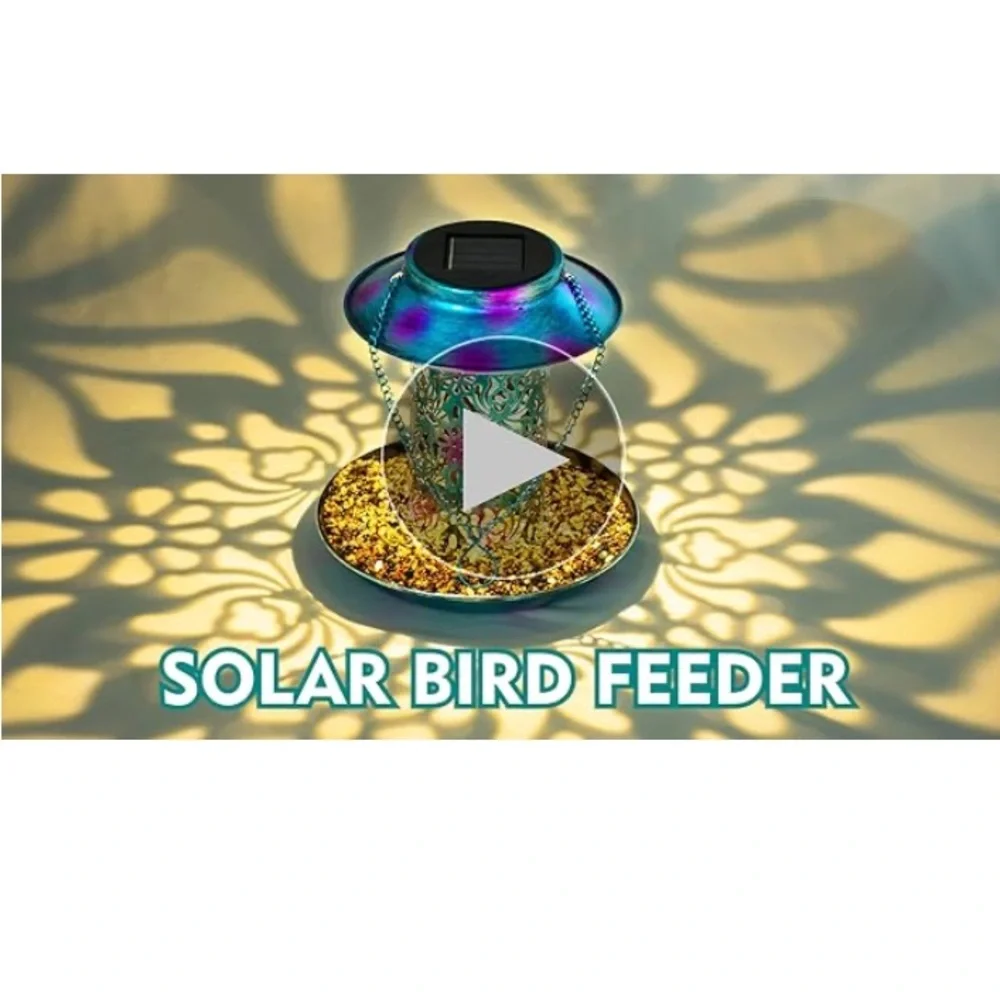 Solar-Powered Blue Bird Feeder